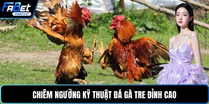 Chiêm ngưỡng kỹ thuật đá gà tre đỉnh cao